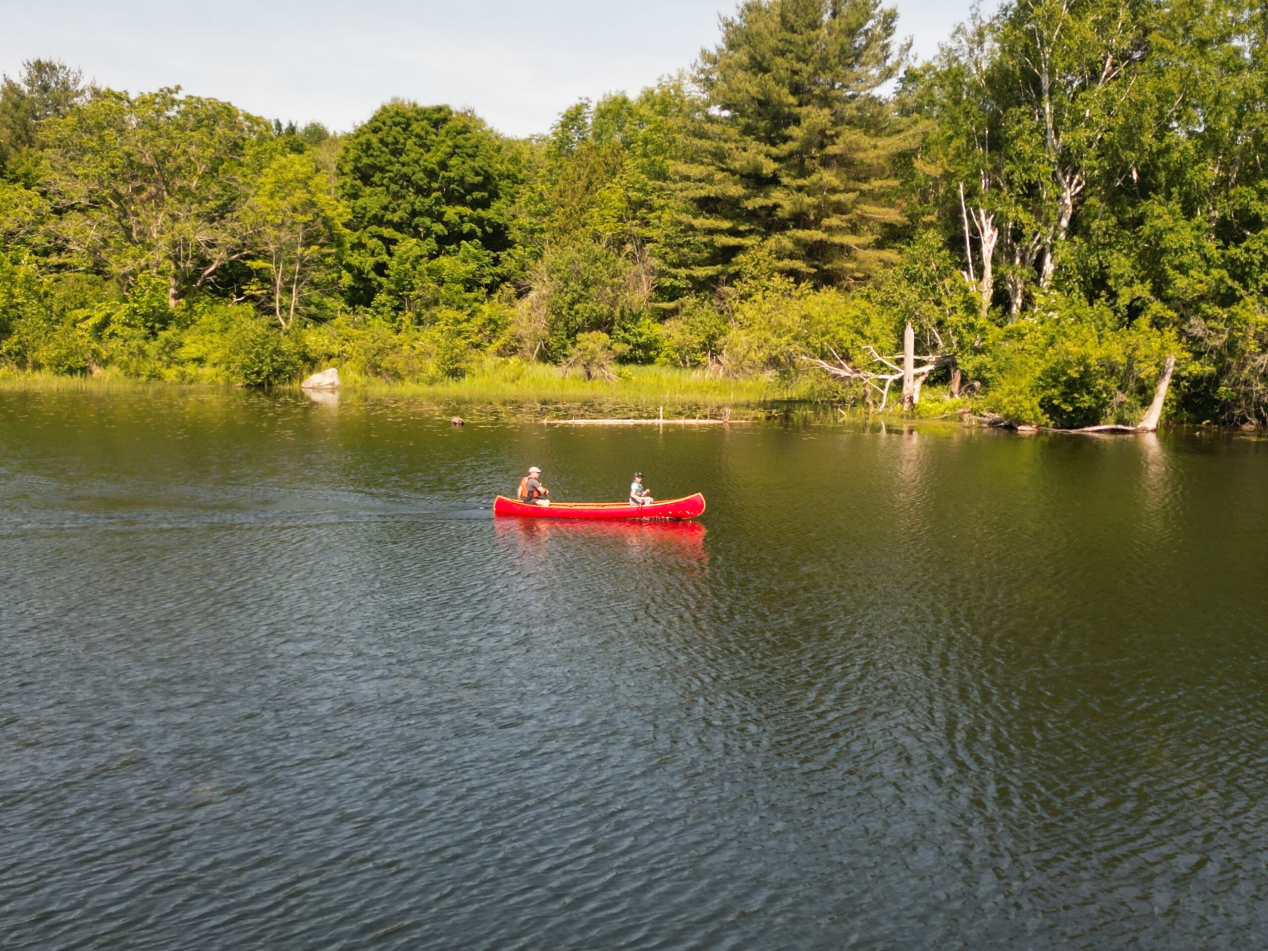 Seeley’s Bay Red Canoefest