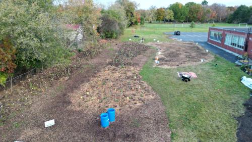 Little Forest Fruit Garden Seniors Centre