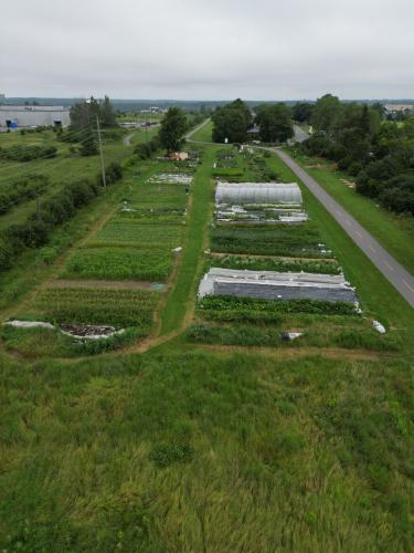 Oak Street Community Garden