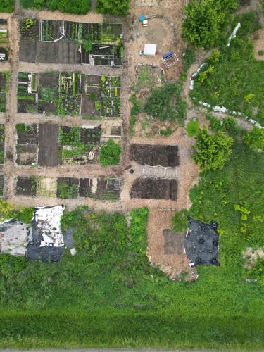 Lakeside Community Garden